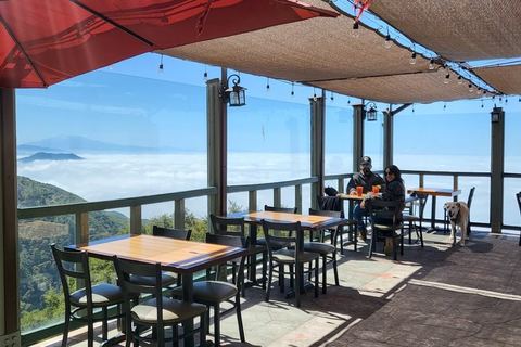 Hortencia's at the Cliffhanger